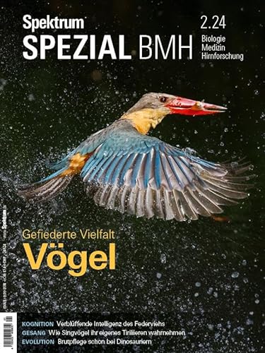 Spektrum Spezial BMH 2/2024 - Vögel: Gefiederte Vielfalt (Spektrum Spezial - Biologie, Medizin, Hirnforschung) von Spektrum der Wissenschaft